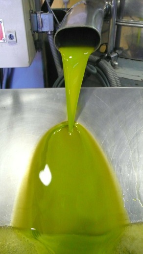 aceite de oliva campaña 17 18